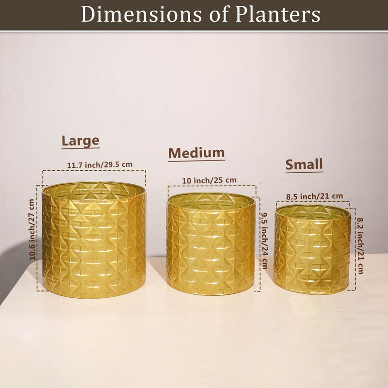 Zephyr Metal Planters - Set Of Three media 8