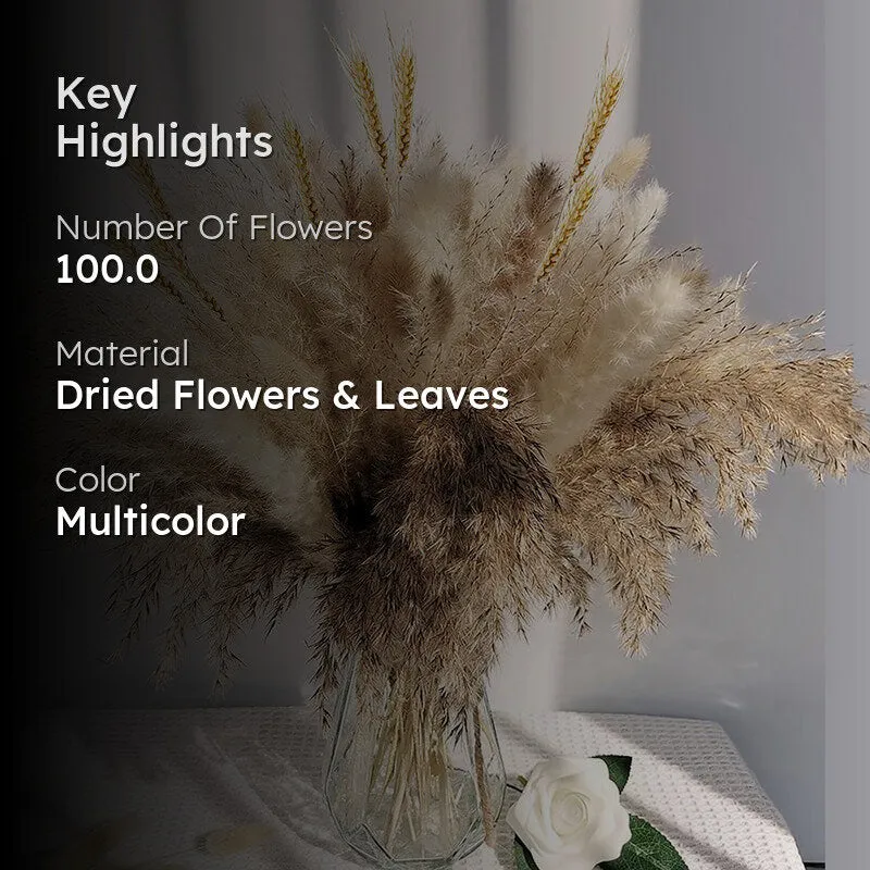 Bloom Theory Dried Flower Stems - Set of Hundred media 2