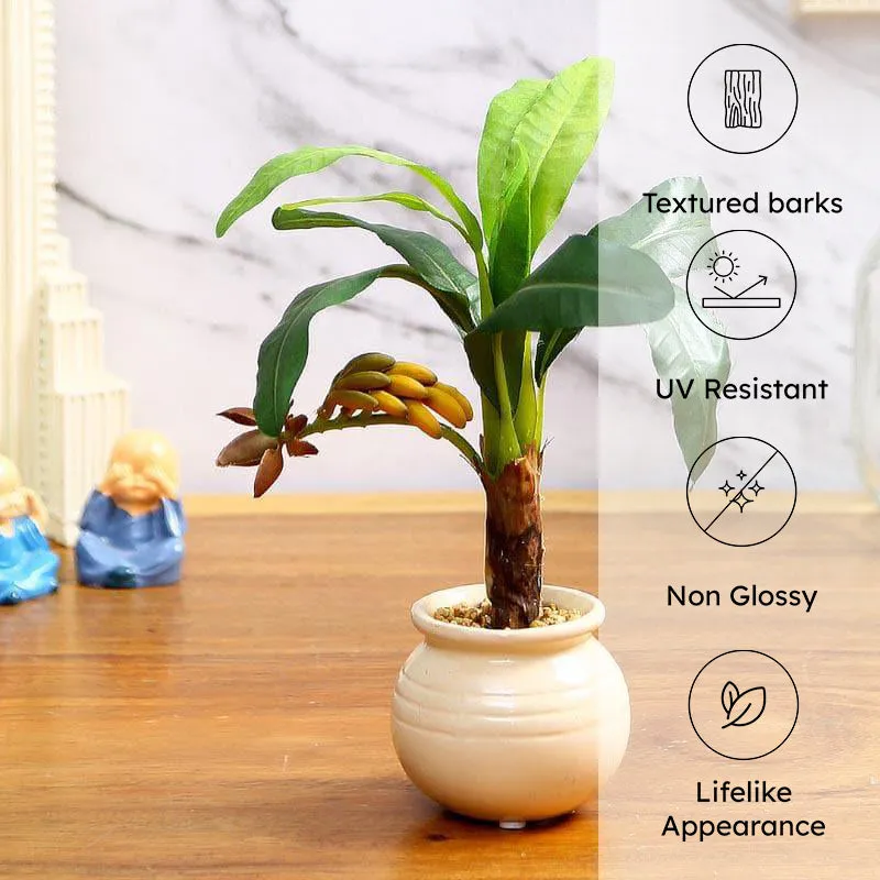 Faux Banana Bonsai In Ceramic Pot (24 cms) - Small media 4