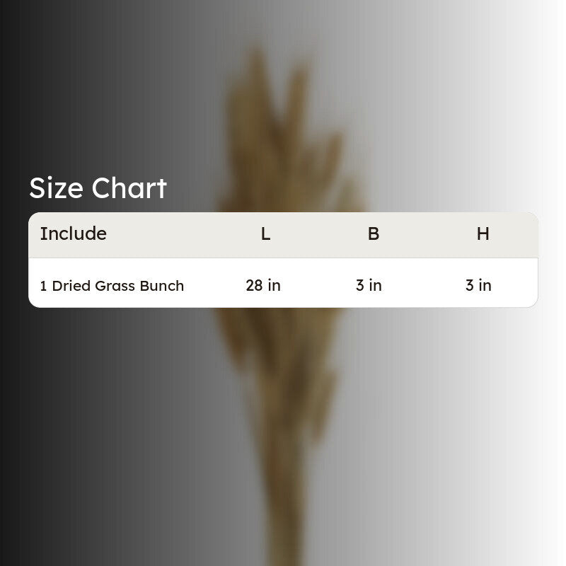 Yinira Naturally Dried Wheat Grass media 5