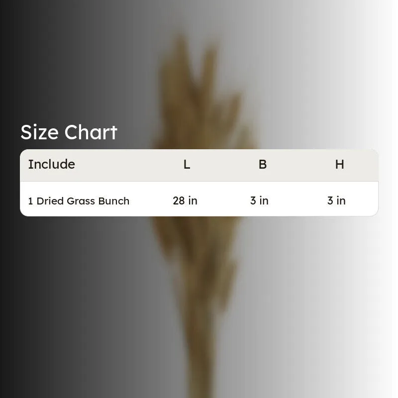 Yinira Naturally Dried Wheat Grass media 5