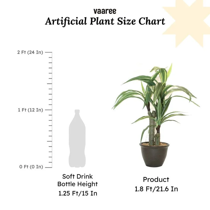 Artificial Yellow Dracaena Bonsai Plant With White Ceramic Pot - 1.8 Feet media 7