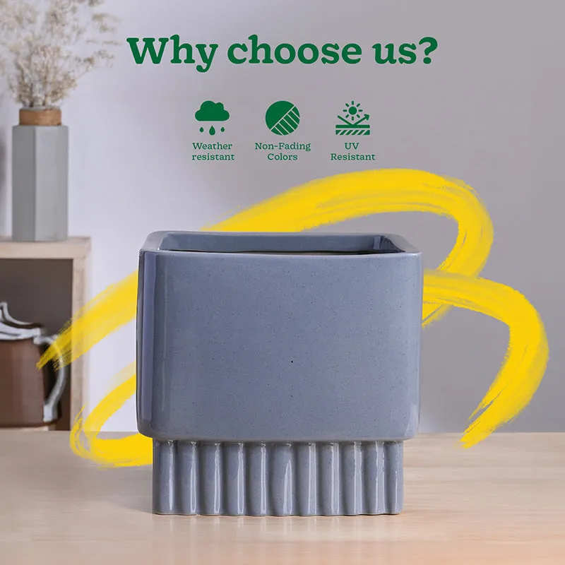 Ugaoo Sleepy Sprout Square Ceramic Planter - Dark Grey media 7