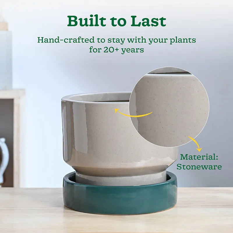 Ugaoo Pot-fection Ceramic Planter - Dark Green media 4
