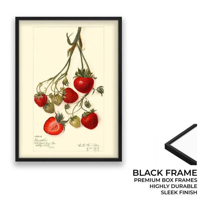 Sweet Citrus Archival Canvas Wall Art - Black media 8
