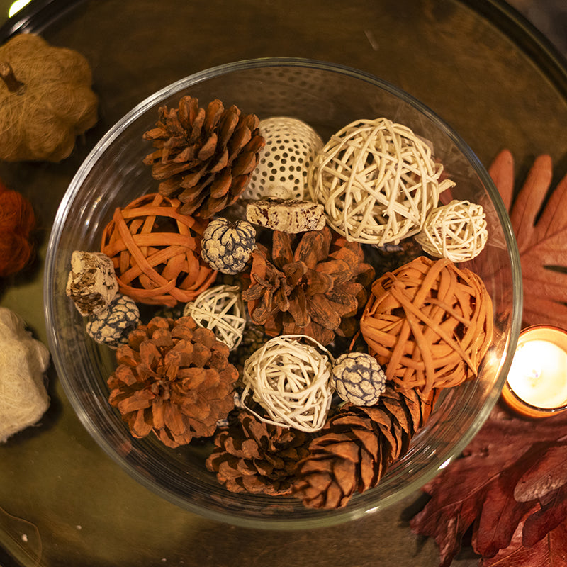 Dried Flowers & Leaves