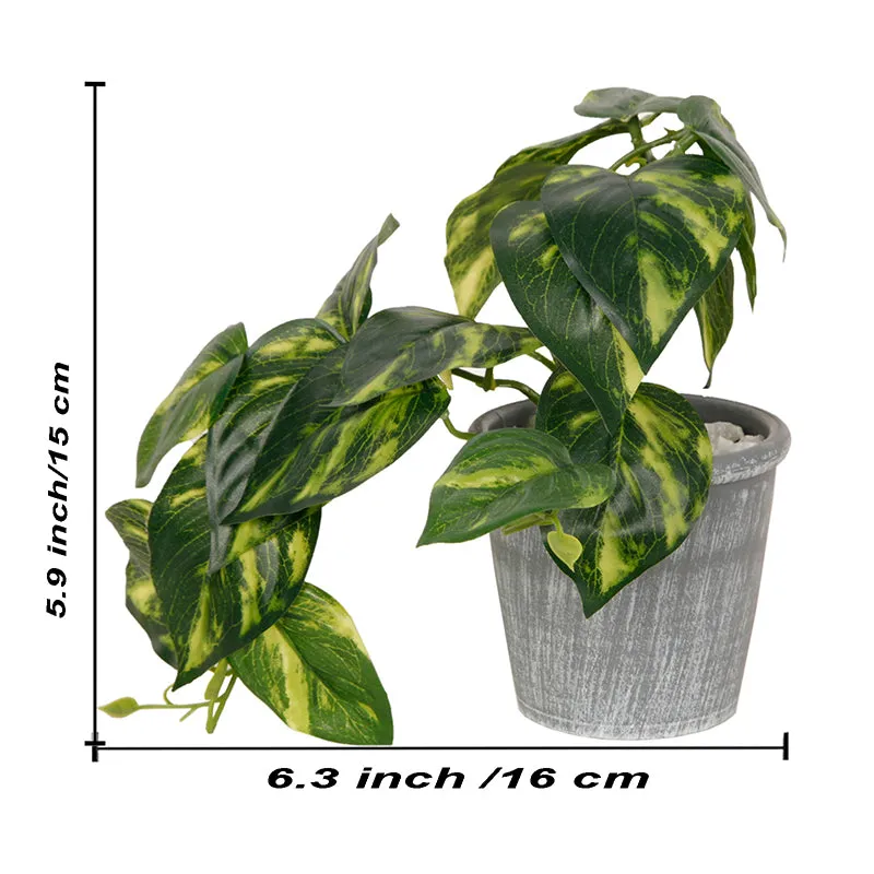 Mahlo Artificial Pothos Plant With Black Plastic Pot media 5