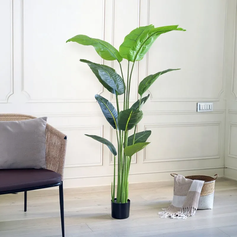 LushLeaf Artificial Plant With Black Plastic Pot - 5.6 ft media 4