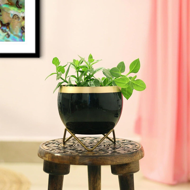 Brita Planter With Stand - Black media 2