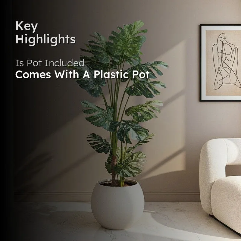 Greenius Artificial Monstera With Black Plastic Pot - 5.6 Feet media 2