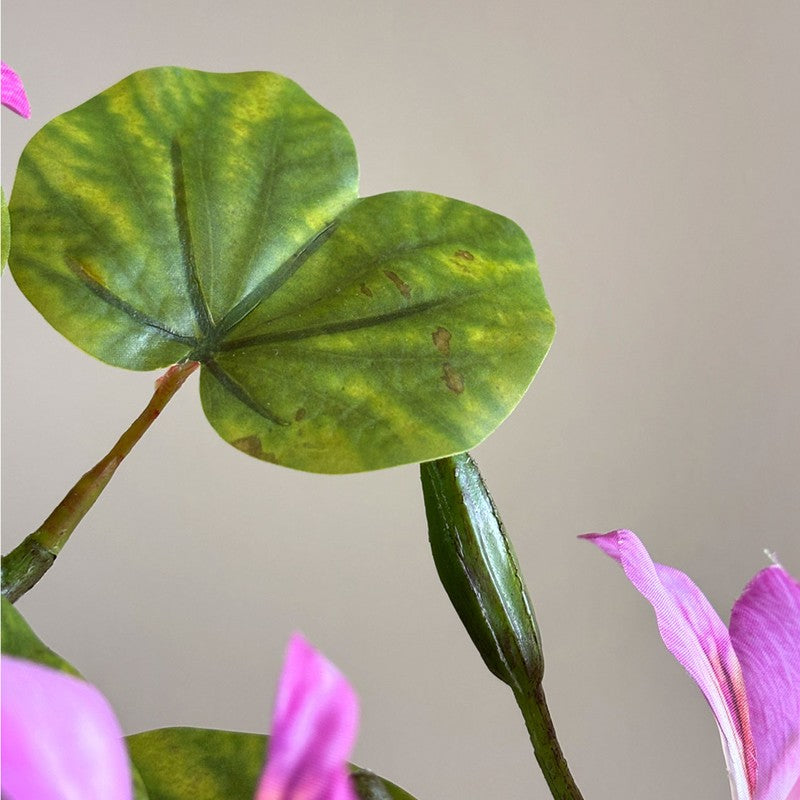 Bauhinia Artificial  Plant With Black Plastic Pot (Pink,Green) - 160 cm (5.2 ft) media 7