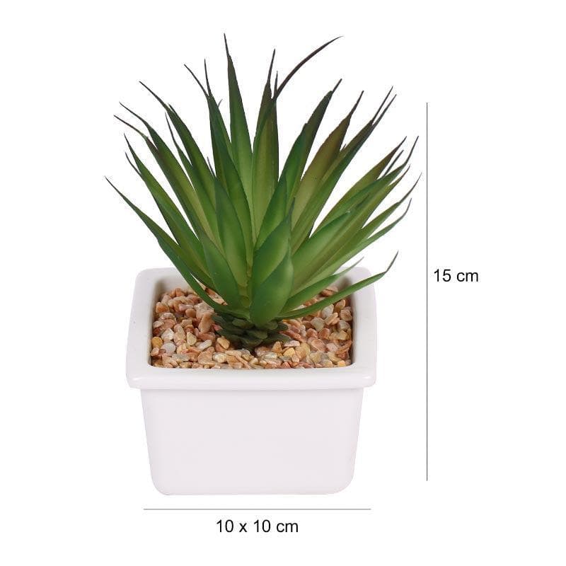 Faux Aloe Vera In White Pot - 13 cms media 4