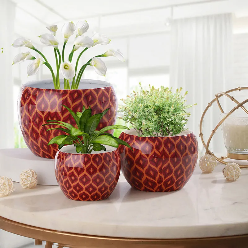Three maroon geometric planters arranged on a tabletop with plants