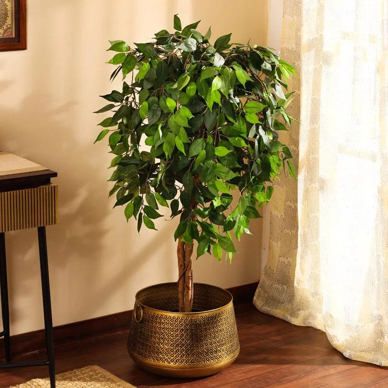 Artificial Realistic Ficus Plant With Black Plastic Pot - 4.9 Feet media 3