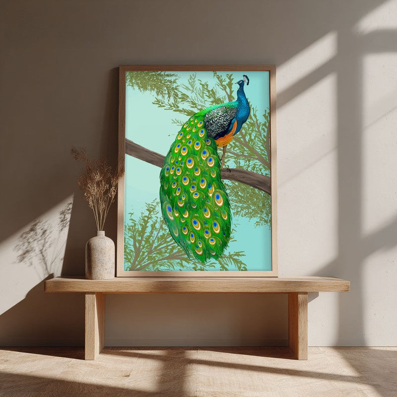 Peacock In Color Archival Paper Wall Art - Natural Brown Frame