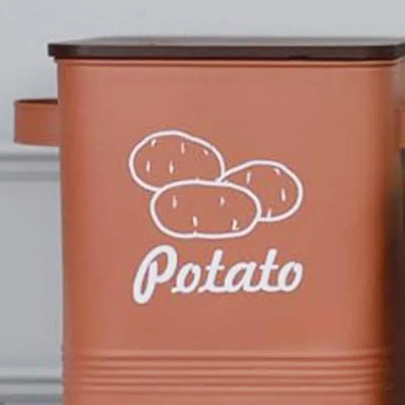 Ferrous Fun Rectangle Potato Iron Container -15 L media 4