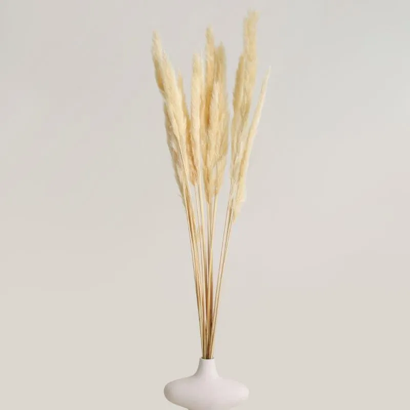 Fuzi Dried Pampas Stick - Set Of Fifteen media 1