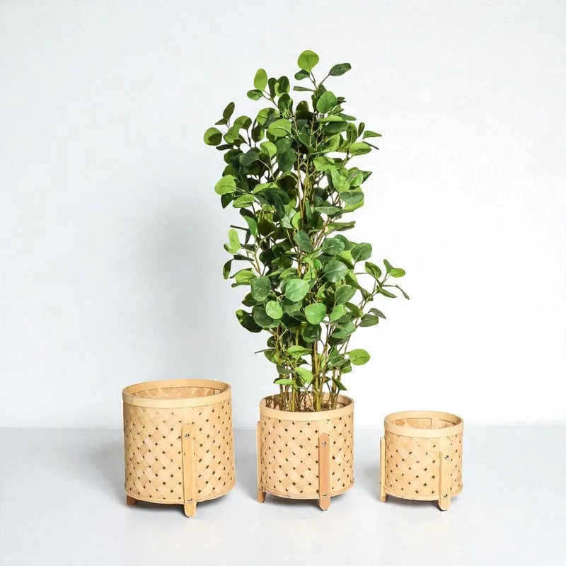 EarthAura Bamboo Planters - Set Of Three media 4
