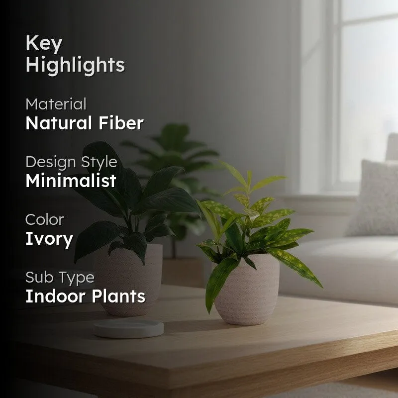 Greenkin Bamboo & Lily Live Plants (Ivory) - Set Of Two media 2