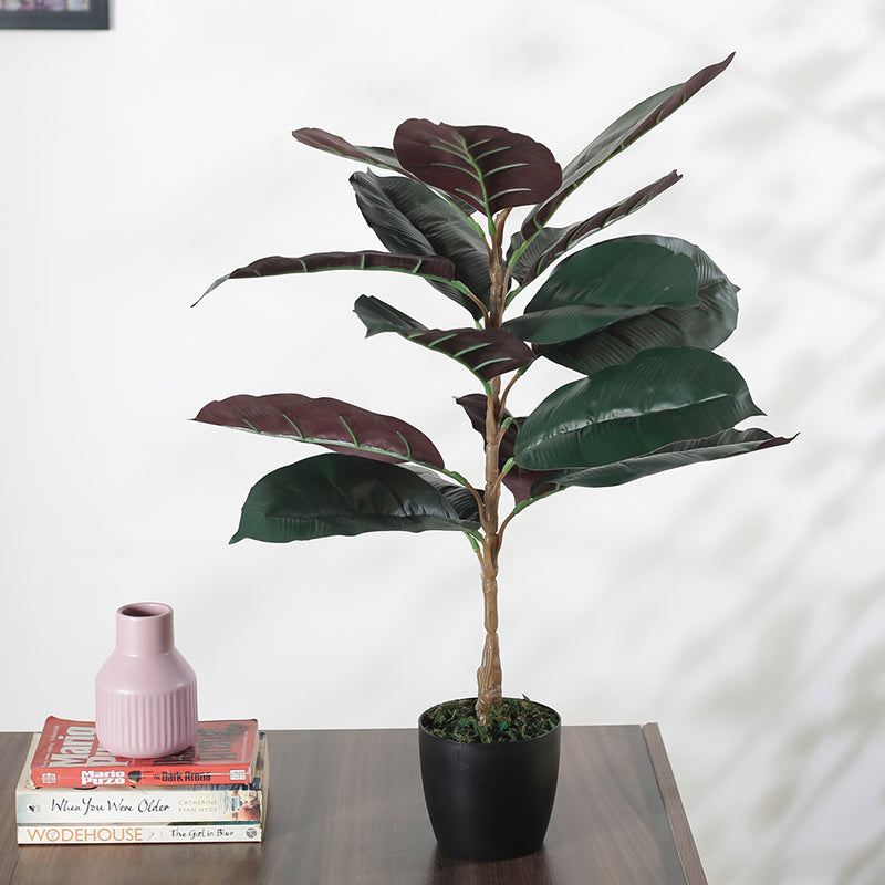Faux Red Rubber Plant With Black Plastic Pot - 2.46 ft media 3