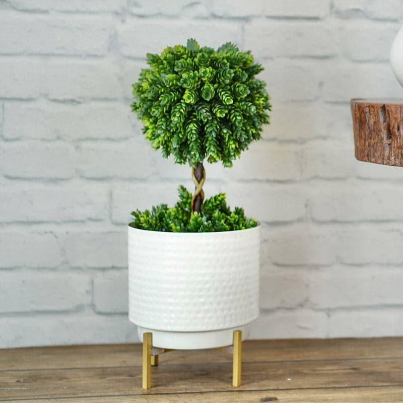 Ettta Troda Planter media 3