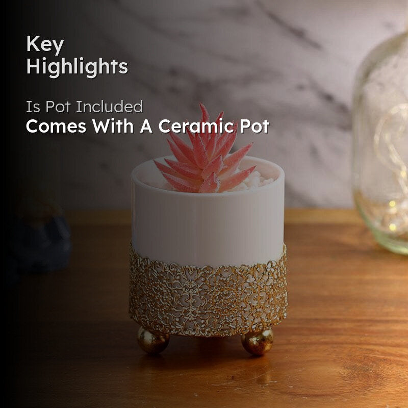 Faux Pink Agave In Decorative Pot - 12 cms media 2