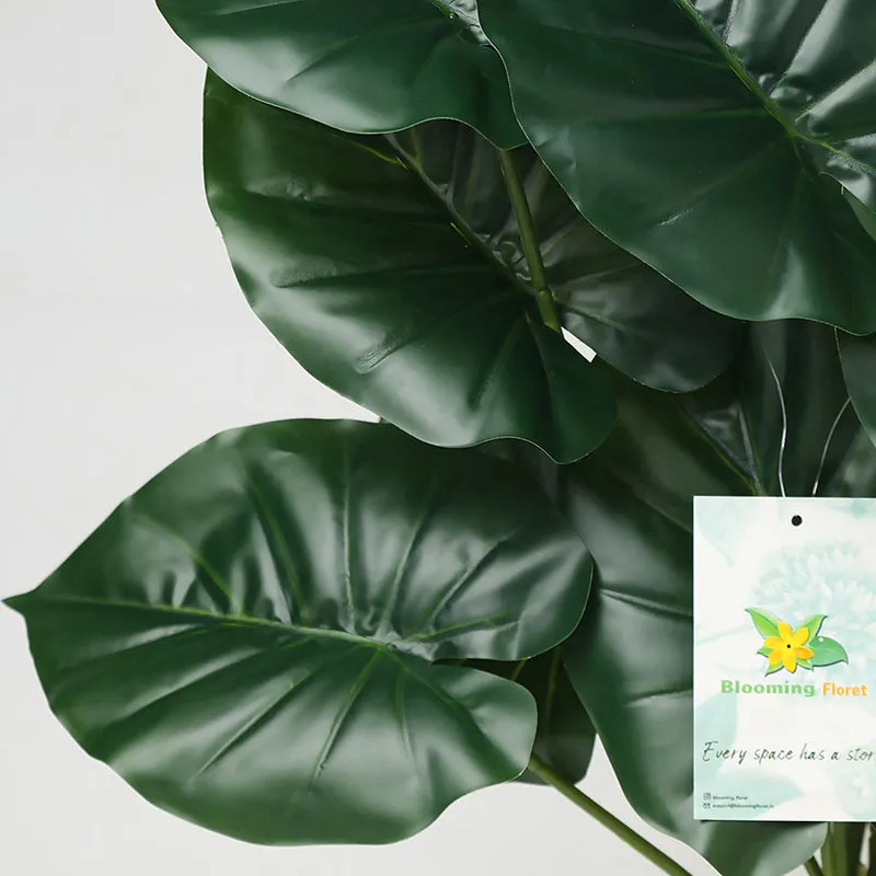 Faux Everlasting Cardinal Philodendron Plant With Black Plastic Pot - 74 cm (2.4 ft) media 6