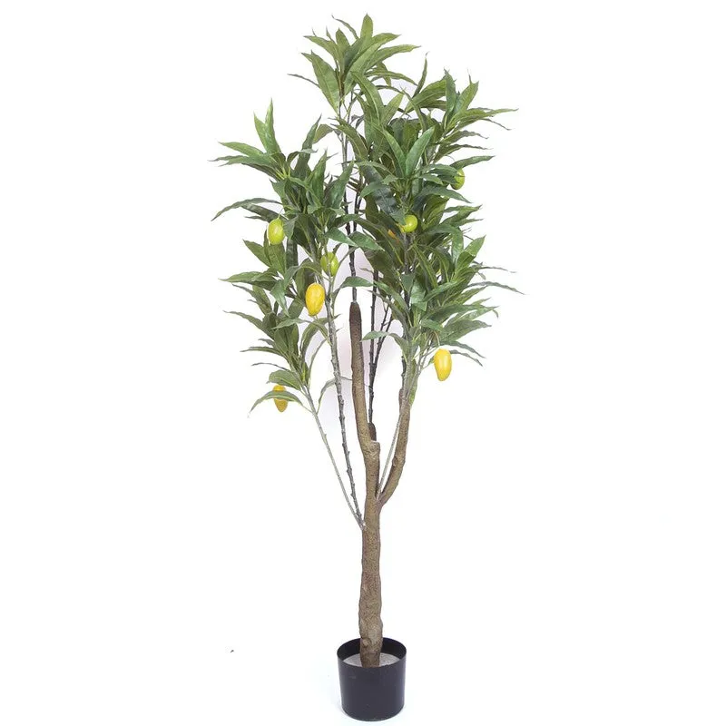Realistic Mango Fruit Artificial Plant With Black Plastic Pot media 4