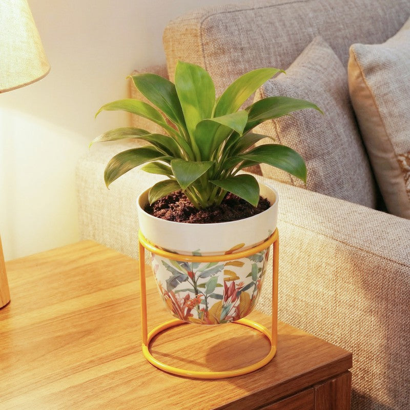 Vessel & Vine Metal Planters With Stand - Two Piece Set media 13