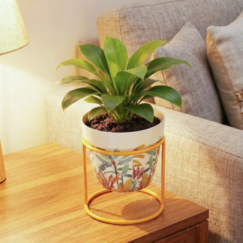 Vessel & Vine Metal Planters With Stand - Two Piece Set media 13
