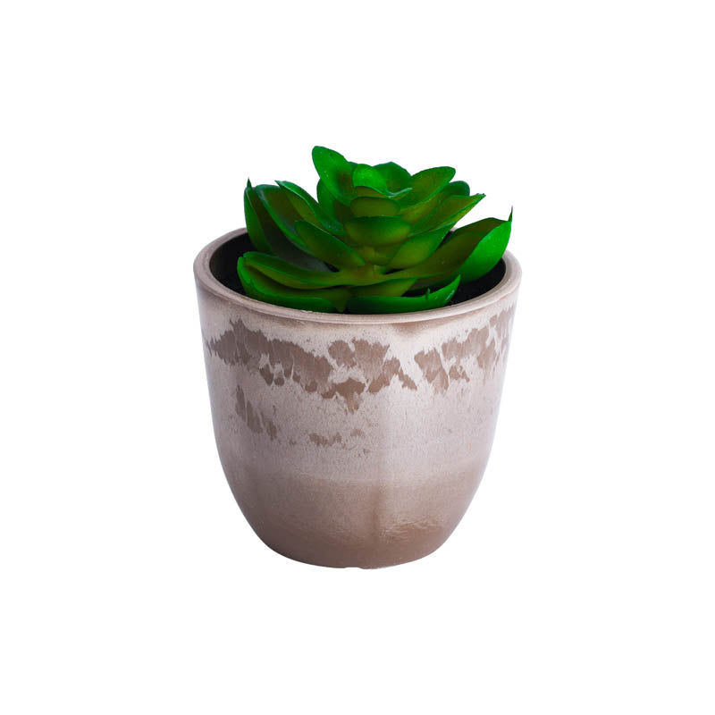 Artificial Mini Succulent With Black Plastic Pot (Set Of Four) media 6