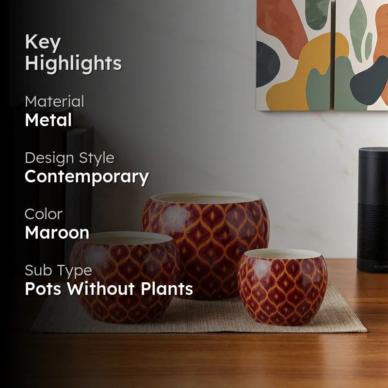 Maroon planter set with key highlights text overlay