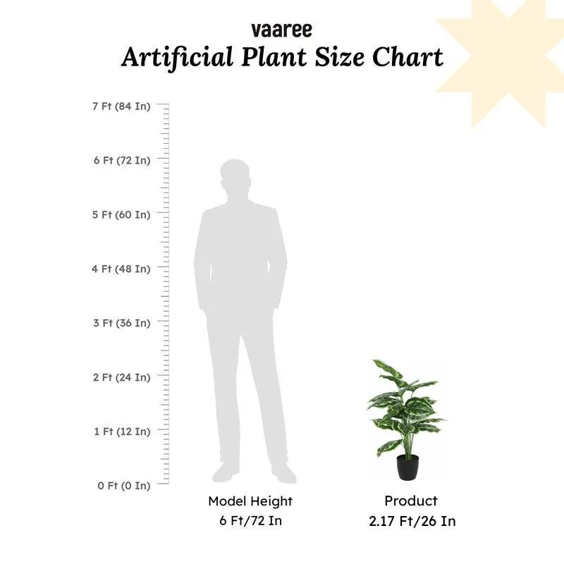 Faux Calatheas Silk Plant With Black Plastic Pot - 2.13 ft media 6