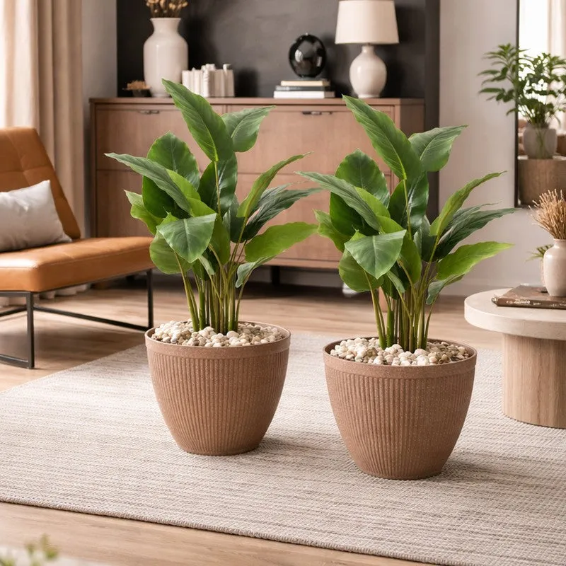 BloomBin Planters (Brown) - Set Of Two media 4