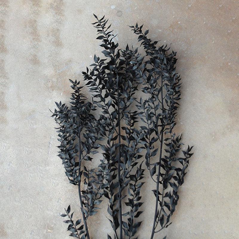 Dried Flowers & Leaves
