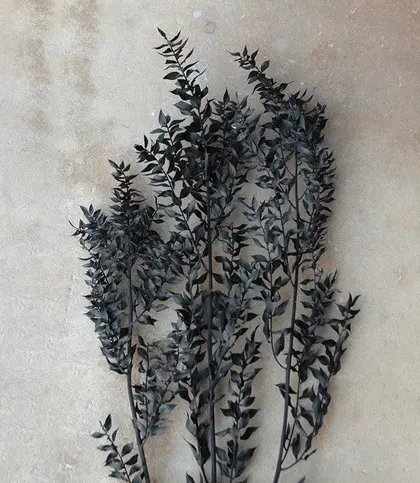 Dried Flowers & Leaves