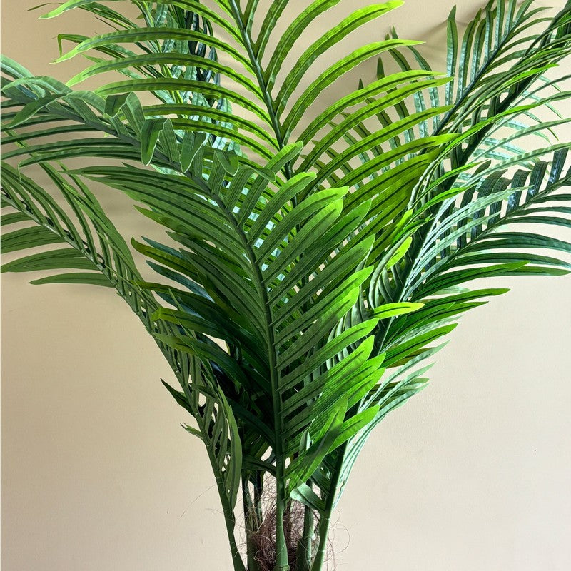 Areca Palm Artificial Plant With Black Plastic Pot - 170 cm (5.6 ft) media 4