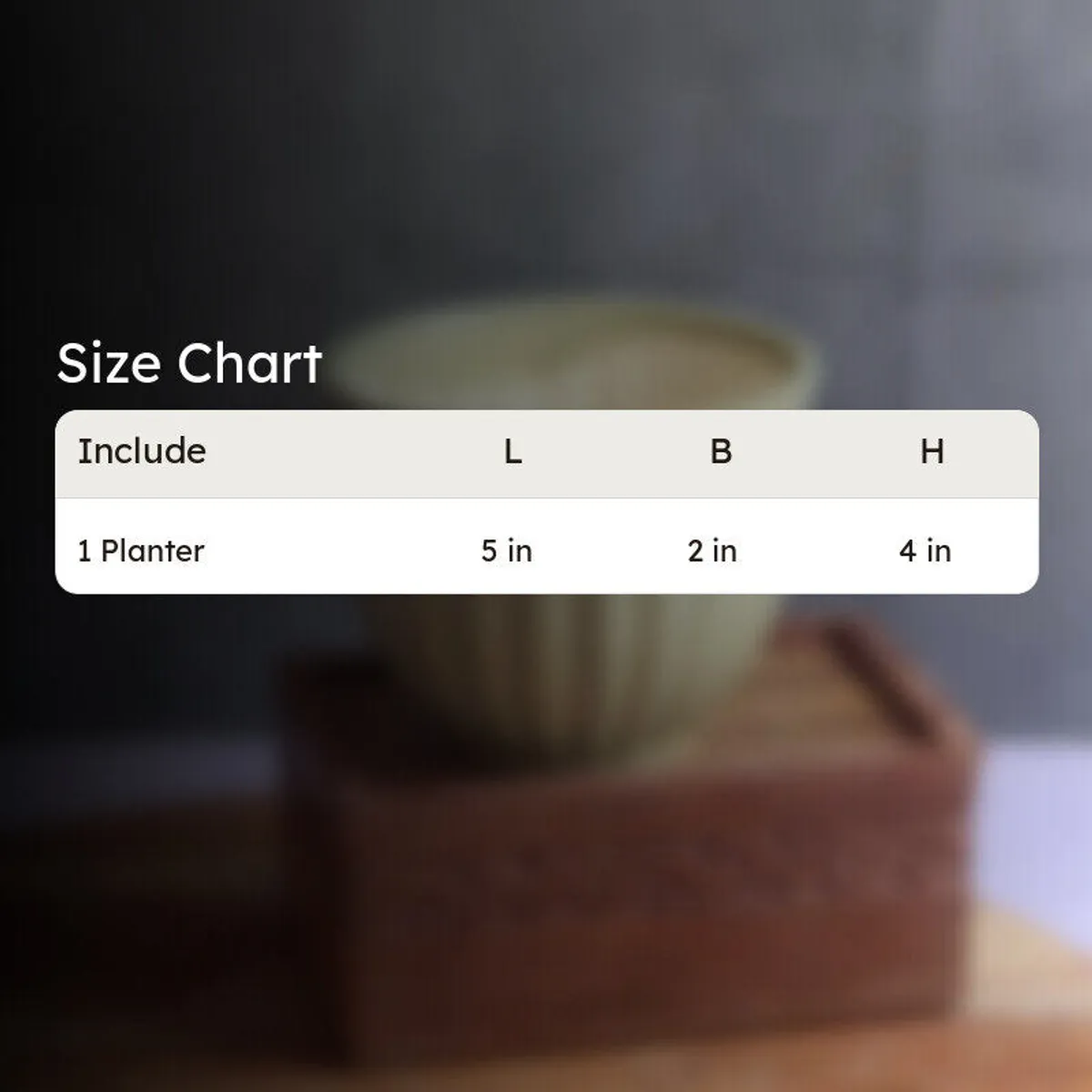 Blurred green planter shown behind a size chart graphic