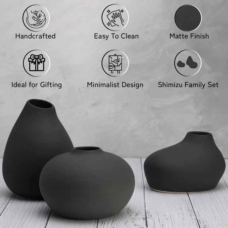 Raven Vases (Black) - Set Of Three media 5