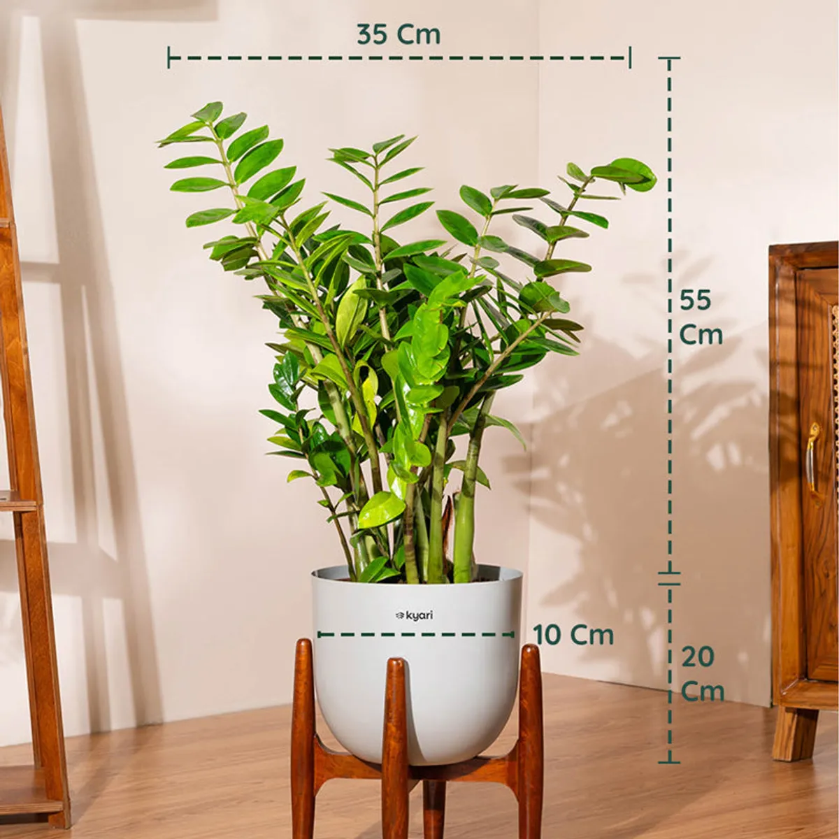 Green ZZ plant in a grey planter with a wood stand