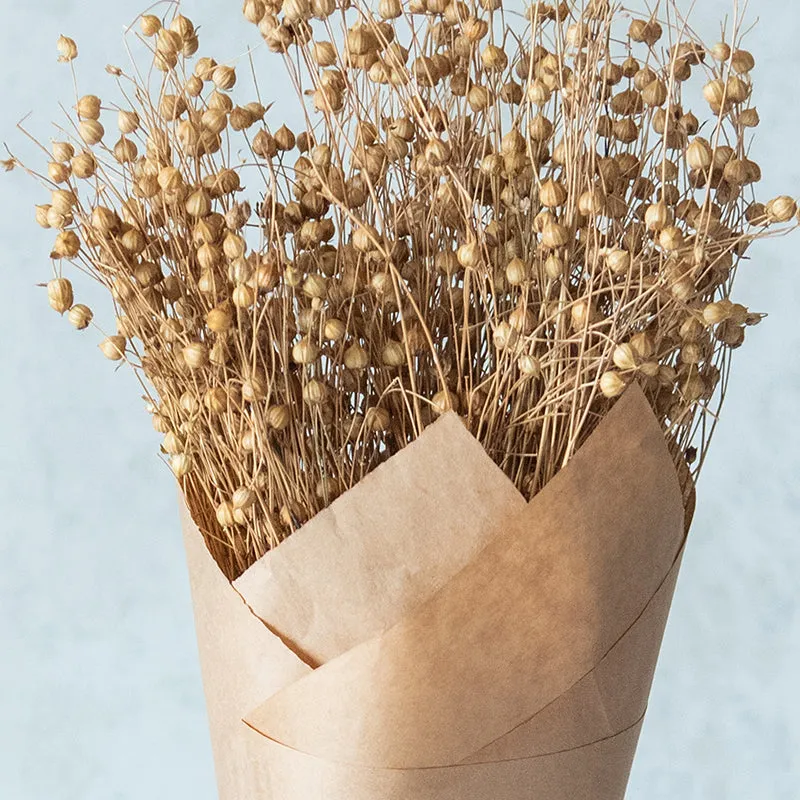 Yinira Naturally Dried Lino Grass media 3