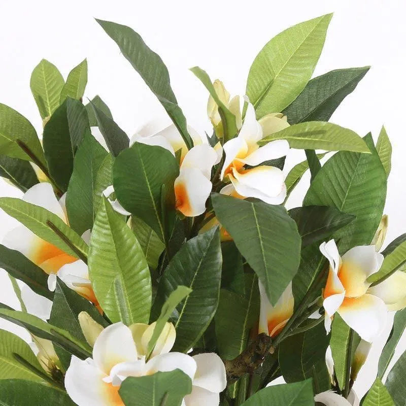 Faux Frangipani Bonsai In Ceramic Pot (2.07 ft) - White media 3