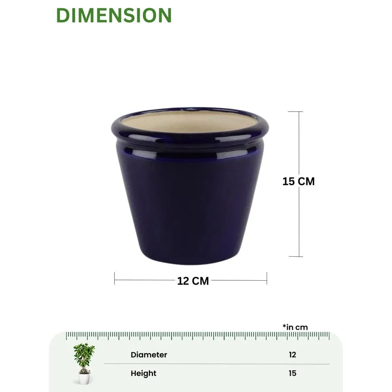 EternaBloom Planter Series - Set Of Two media 12