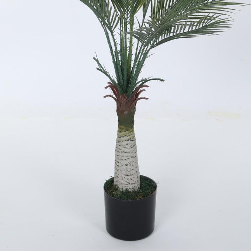 Faux Bottle Areca Plant With Black Plastic Pot - 3.61 ft media 4