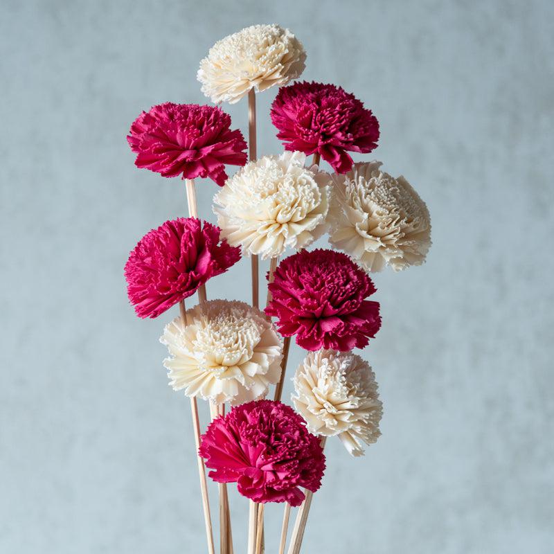 Berta Carnation Sola Flower Stick (Pink & White) - Set Of Ten media 3