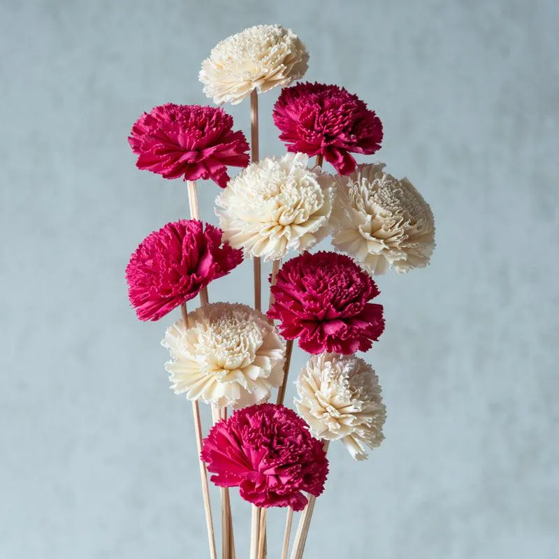 Berta Carnation Sola Flower Stick (Pink & White) - Set Of Ten media 3