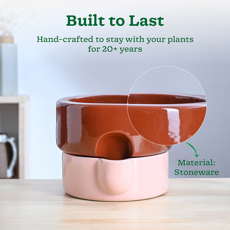 Ugaoo Lady Leafington Ceramic Planter - Terracotta & Pink media 3