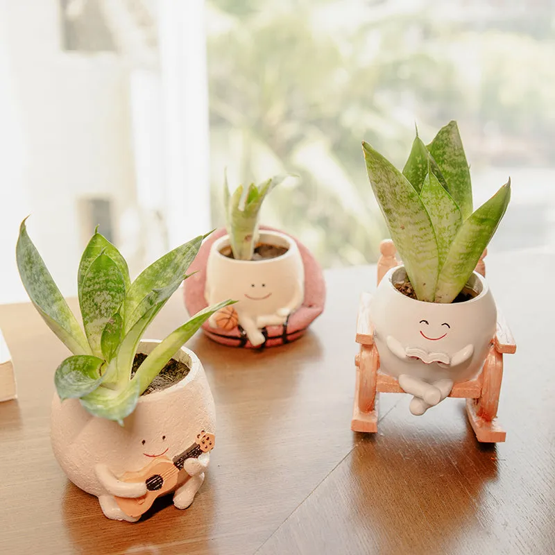 Plant Buddies Resin Planter - Set Of Three media 2