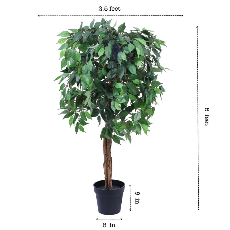 Artificial Realistic Ficus Plant With Black Plastic Pot - 4.9 Feet media 8