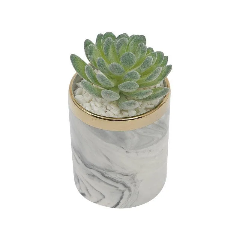 Faux Gasteria In Marble Pot - 22 cms media 3
